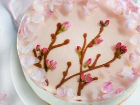 roses_cheesecake_1