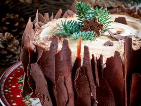 christmas__stump_1