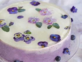 blueberry_-cake_1